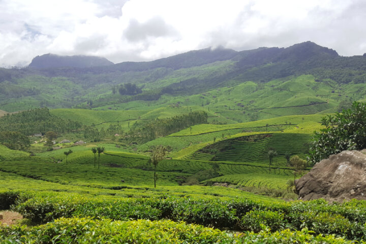 Munnar