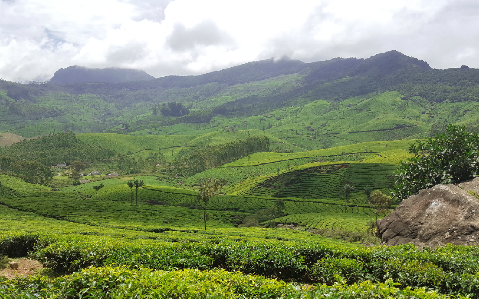 Munnar