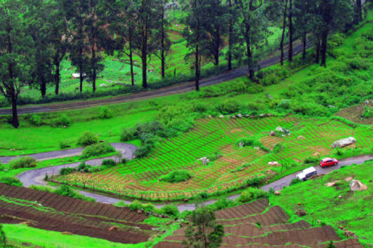 Ooty