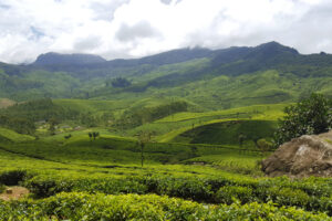 PRIVATE TOUR 4 PRIVATE TOUR estate