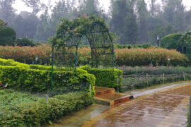 kodaikanal park tour Thumbnail Image