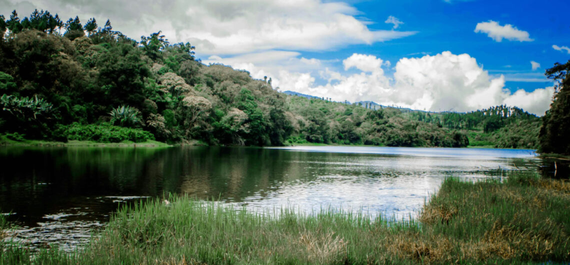 kodaikanal wild wises